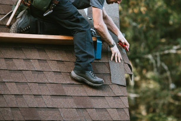 Best Roof Repair Specialists  in Orange Park, FL